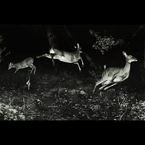 2026_05_08_2851597