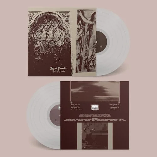 strangerthanparadiserecords202605071445392758468